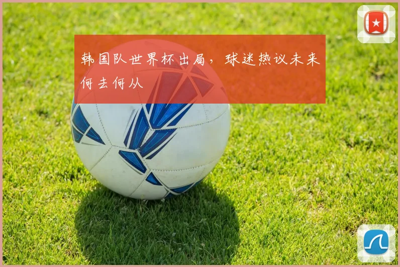 韩国队世界杯出局，球迷热议未来何去何从